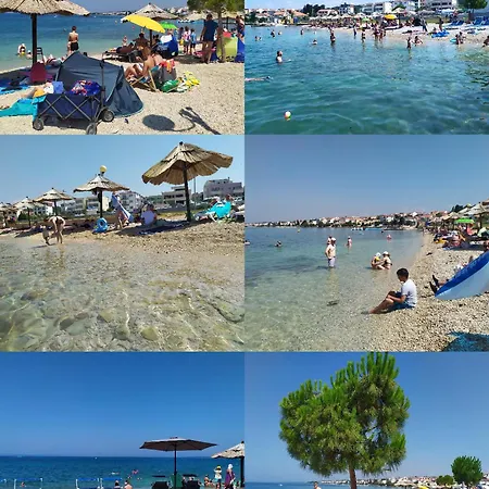 Lavanda Zadar