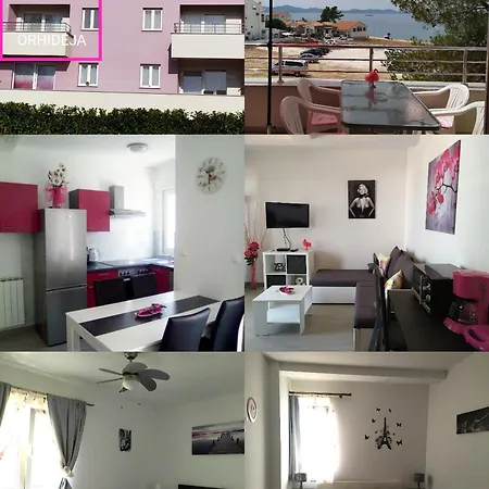 Apartament Lavanda *